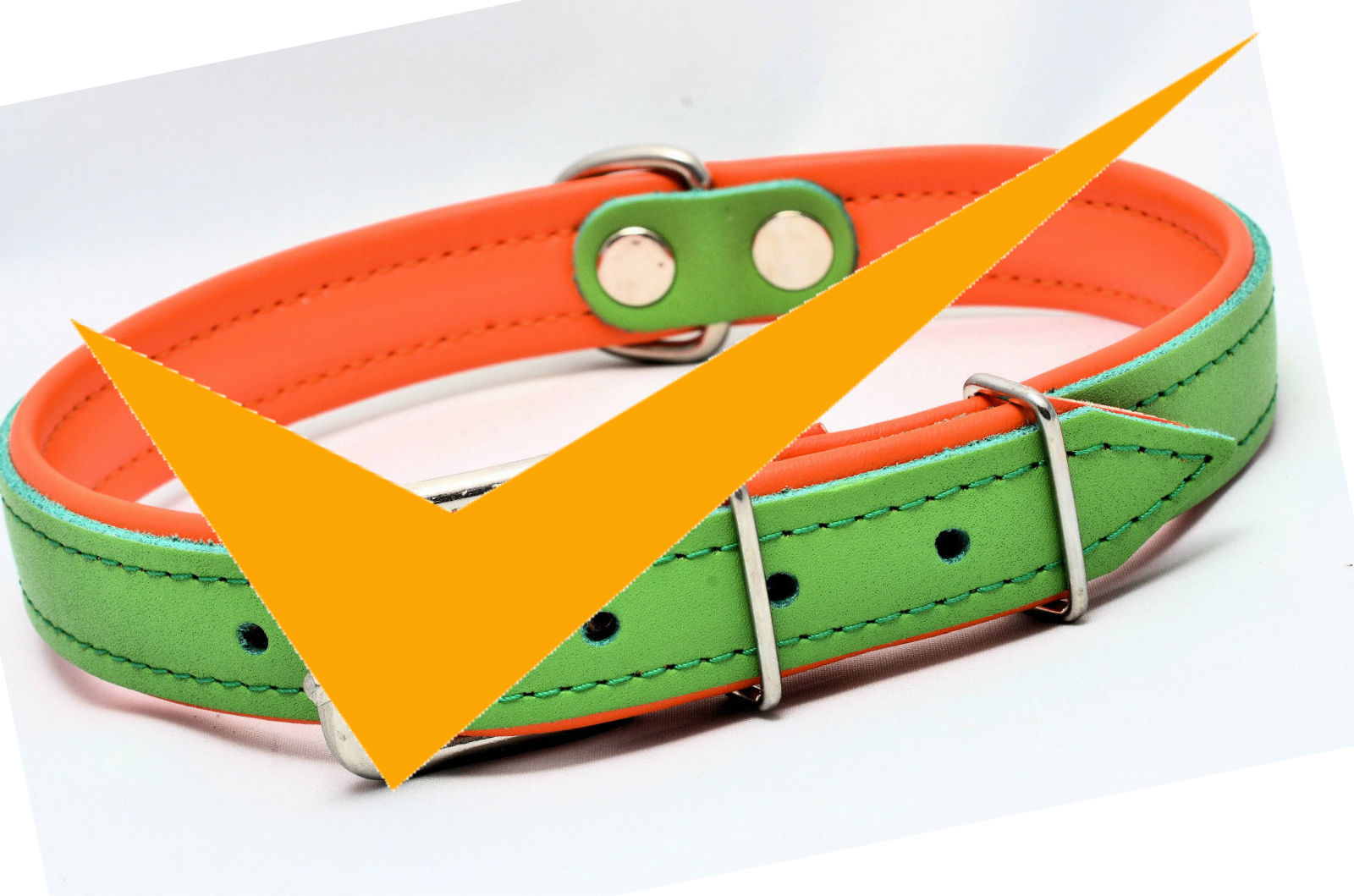 The Bulldog Collar Everything you Need to Know About Collars