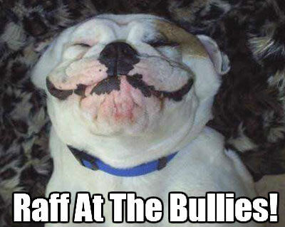 Raff at the Bullies