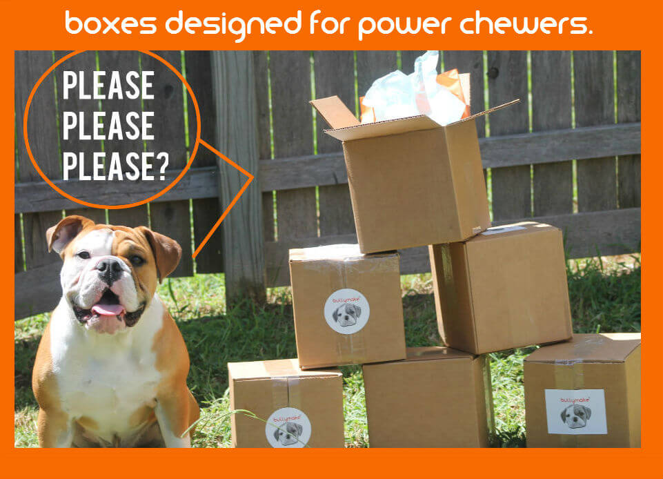 boxes designed for power chewers